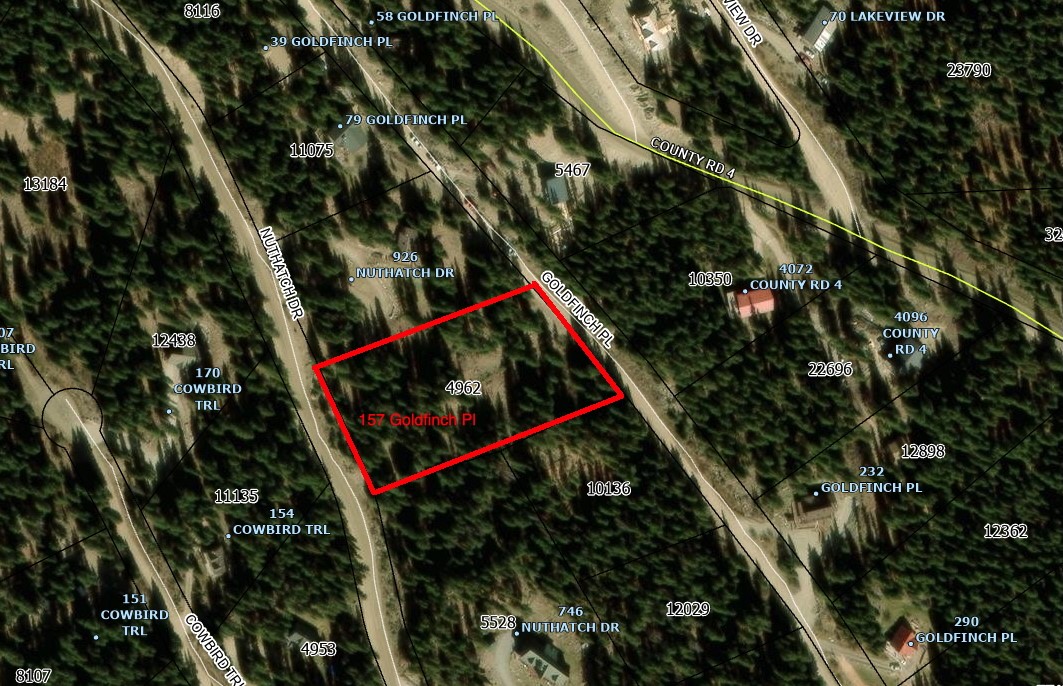 157 Goldfinch Place Alma, CO 80420 - Photo 4 of 34