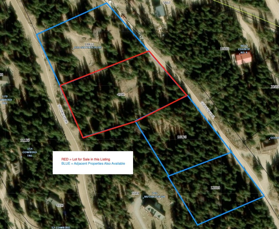 157 Goldfinch Place Alma, CO 80420 - Photo 5 of 34 a sign broad on wooden floor