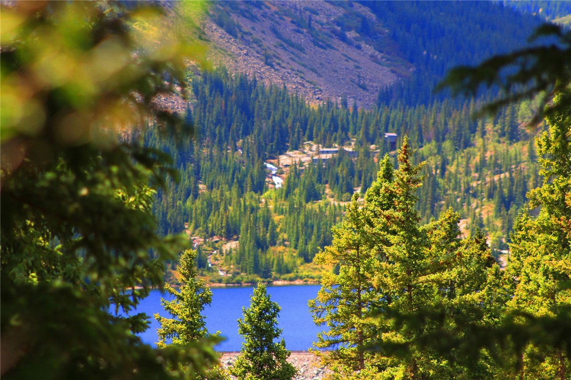 157 Goldfinch Place Alma, CO 80420 - Photo 8 of 34 a view of a bunch of flowers