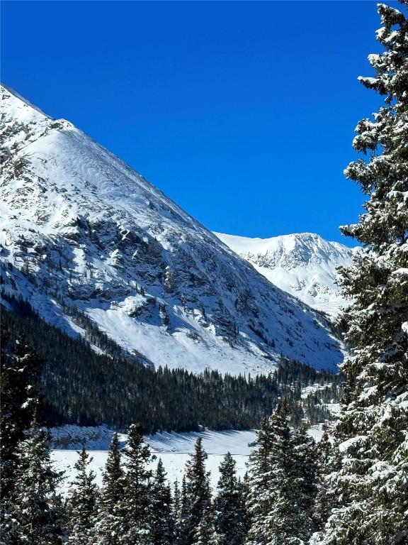 157 Goldfinch Place Alma, CO 80420 - Photo 10 of 34 a view of a house with a yard