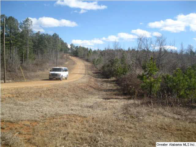 Turkey Ridge, Unit 36 Ragland, AL 35131 - Photo 11 of 13