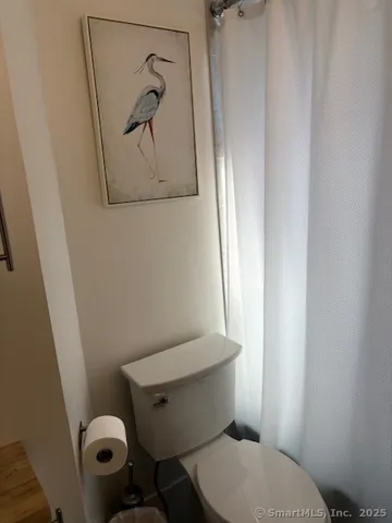 a white toilet sitting next to a shower curtain