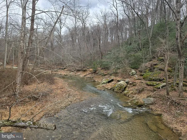 a view of a dry yard with trees and stairs