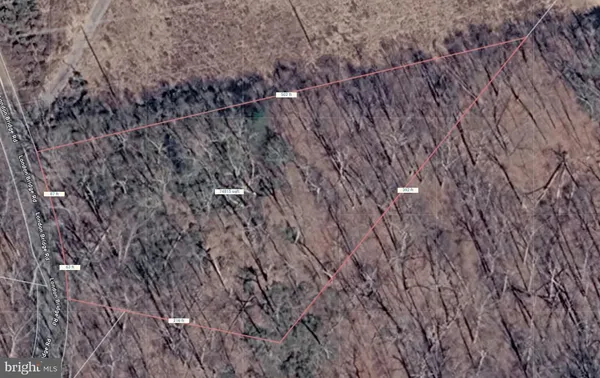 a view of a dry yard