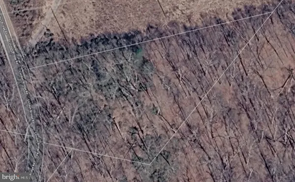 a view of a dry yard