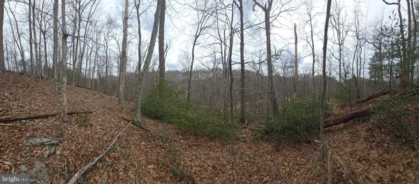 a view of backyard with green space