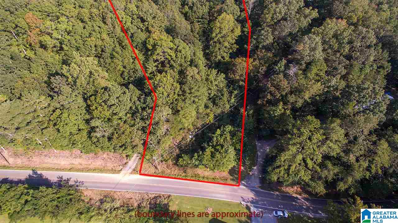 7132 Goodner Mountain Road Pinson, AL 35126 - Photo 12 of 14
