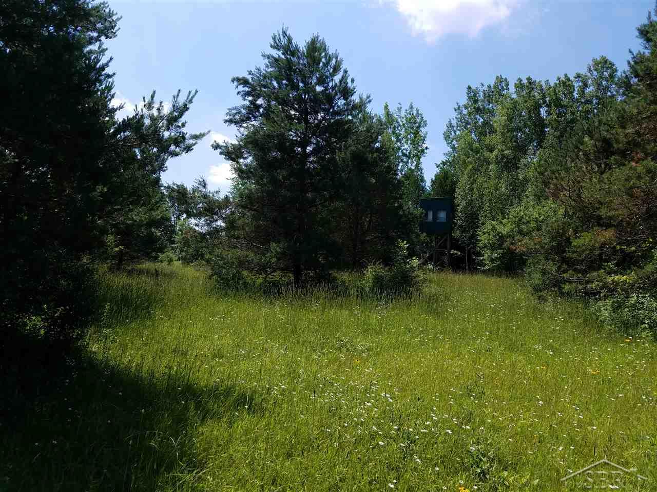 5520 Rossman Road Kingston, MI 48741 - Photo 35 of 71 Gallery Image 35