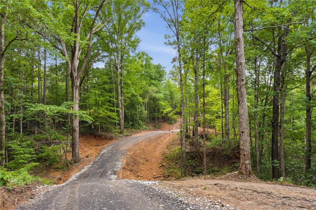 Lot 1 Pete Path Dallas, GA 30157 - Photo 16 of 21