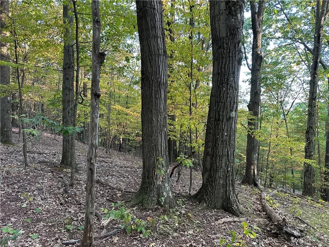 $38,400 | Vl Linkletter Road, Arkport, NY 14807