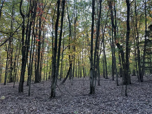 $38,400 | Vl Linkletter Road, Arkport, NY 14807