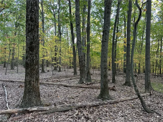 $38,400 | Vl Linkletter Road, Arkport, NY 14807