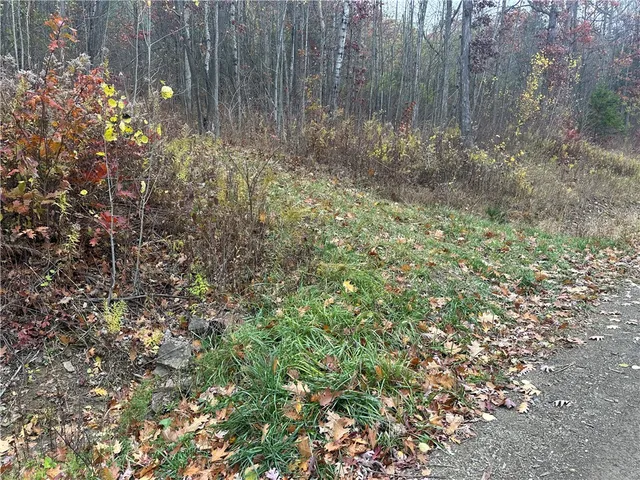 $38,400 | Vl Linkletter Road, Arkport, NY 14807