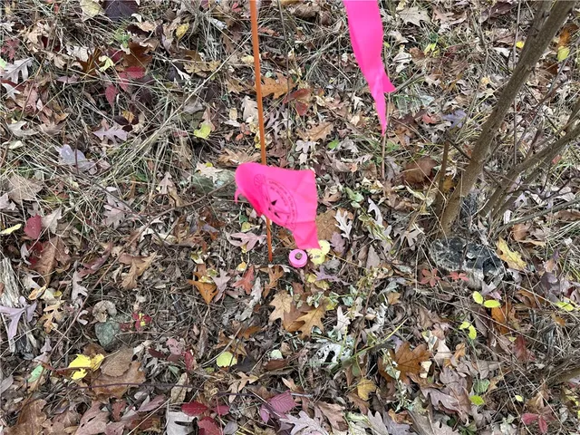 $38,400 | Vl Linkletter Road, Arkport, NY 14807