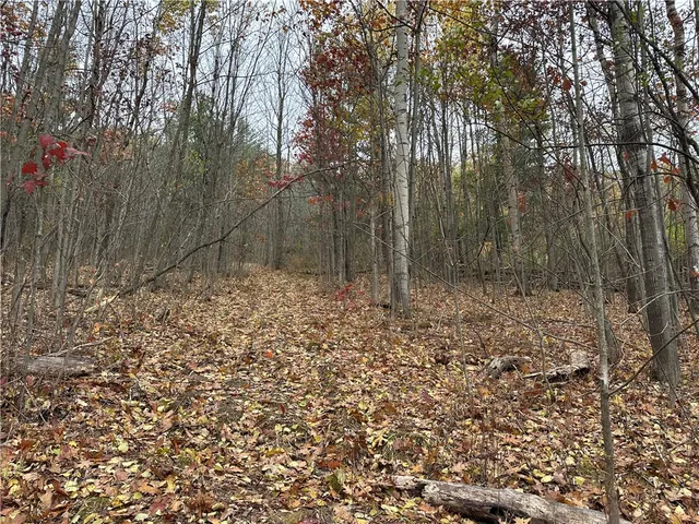 $38,400 | Vl Linkletter Road, Arkport, NY 14807