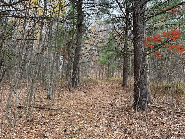 $38,400 | Vl Linkletter Road, Arkport, NY 14807