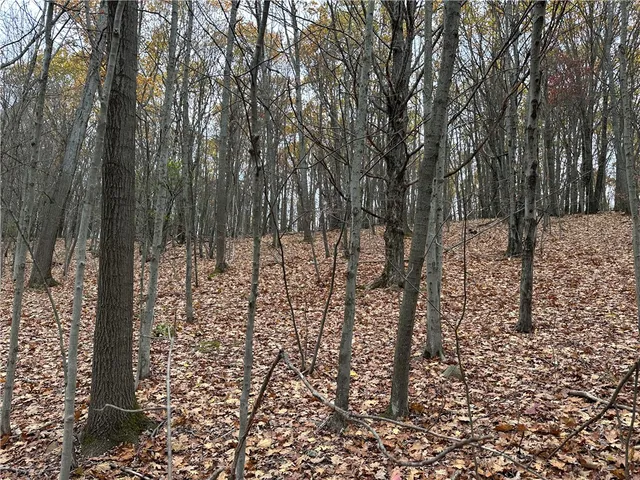 $38,400 | Vl Linkletter Road, Arkport, NY 14807