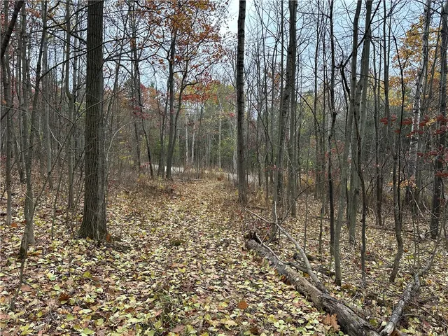 $38,400 | Vl Linkletter Road, Arkport, NY 14807