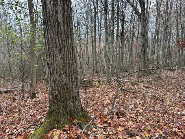 $38,400 | Vl Linkletter Road, Arkport, NY 14807