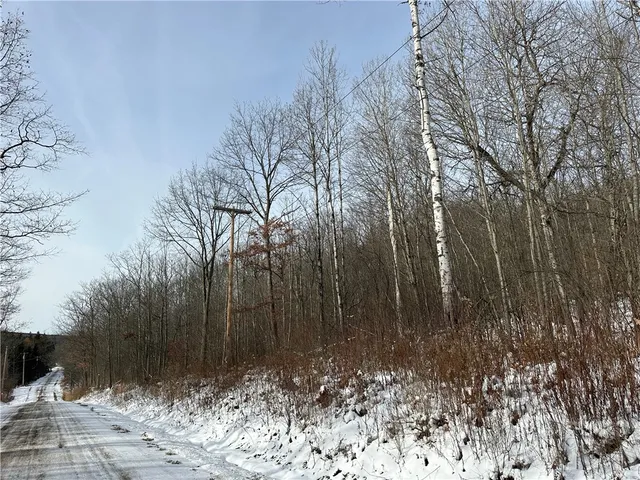 $38,400 | Vl Linkletter Road, Arkport, NY 14807