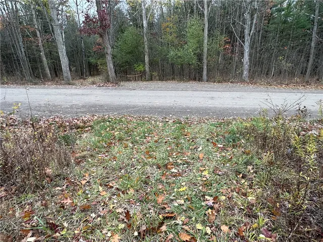 $38,400 | Vl Linkletter Road, Arkport, NY 14807