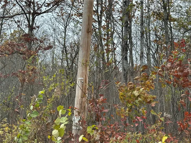 $38,400 | Vl Linkletter Road, Arkport, NY 14807