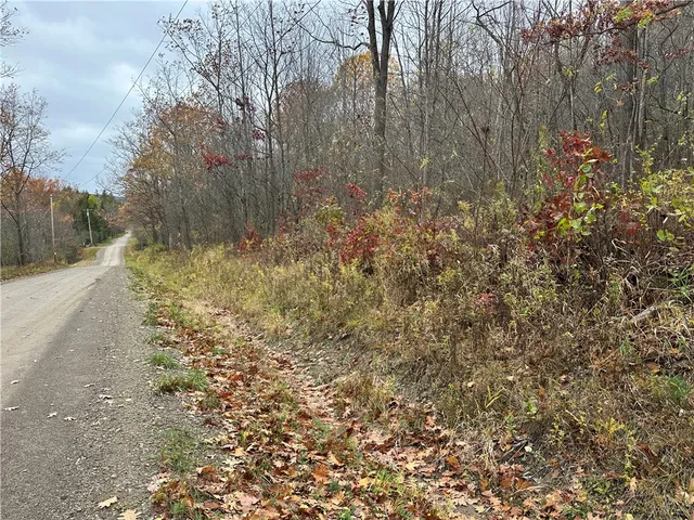 $38,400 | Vl Linkletter Road, Arkport, NY 14807