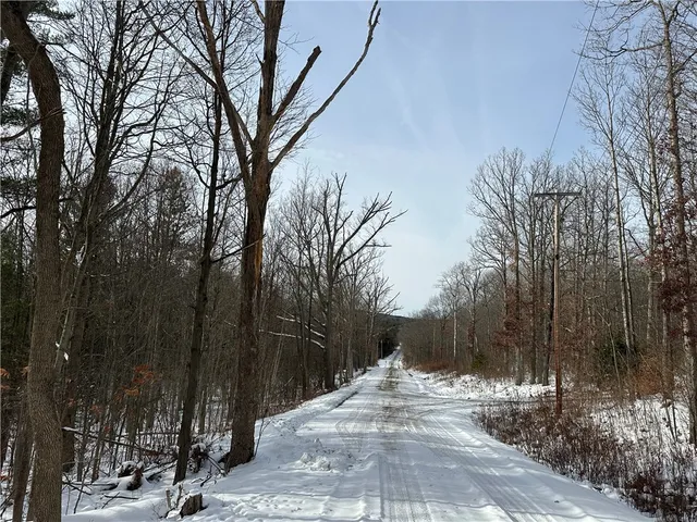$38,400 | Vl Linkletter Road, Arkport, NY 14807