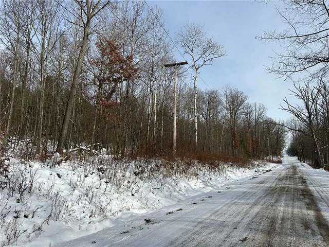 $38,400 | Vl Linkletter Road, Arkport, NY 14807