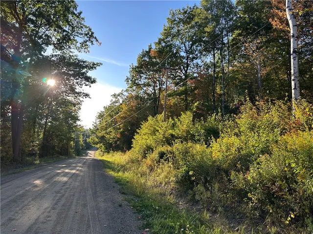 $38,400 | Vl Linkletter Road, Arkport, NY 14807