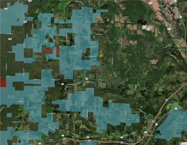 $38,400 | Vl Linkletter Road, Arkport, NY 14807