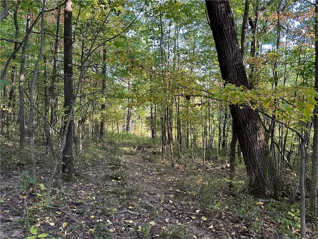 $38,400 | Vl Linkletter Road, Arkport, NY 14807