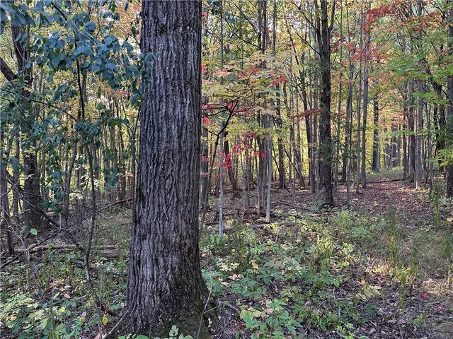 $38,400 | Vl Linkletter Road, Arkport, NY 14807