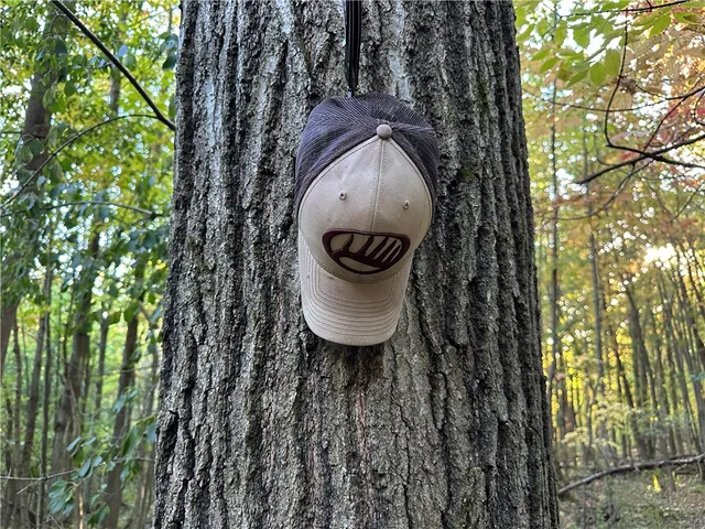 $38,400 | Vl Linkletter Road, Arkport, NY 14807