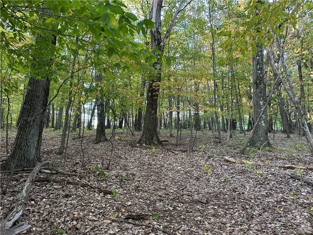 $38,400 | Vl Linkletter Road, Arkport, NY 14807