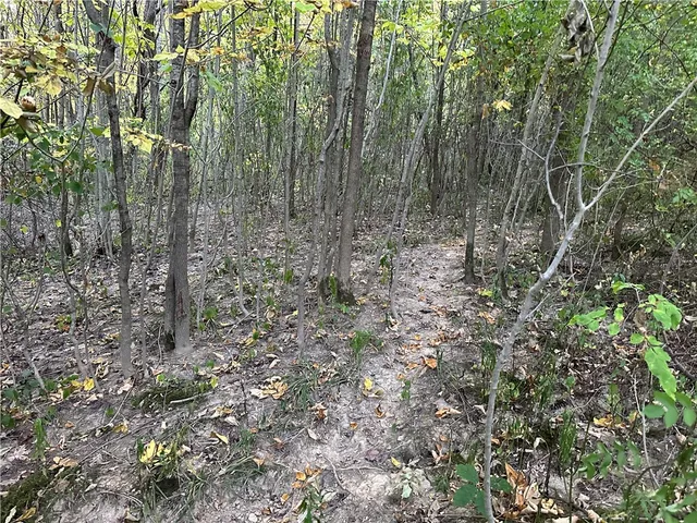 $38,400 | Vl Linkletter Road, Arkport, NY 14807