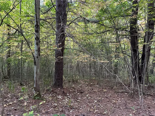 $38,400 | Vl Linkletter Road, Arkport, NY 14807