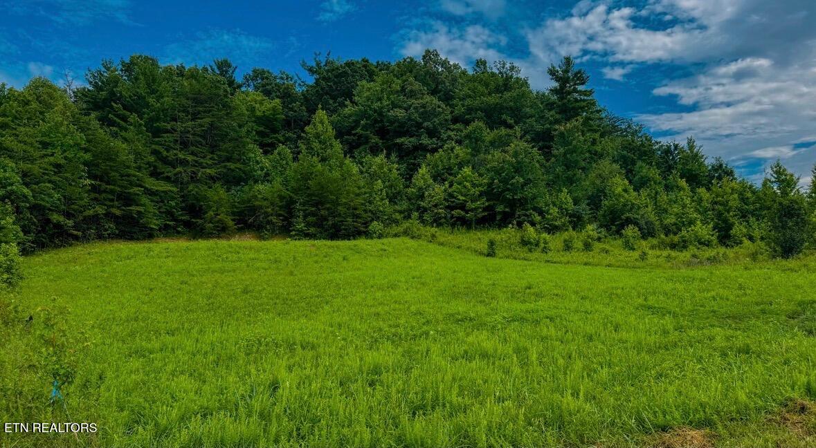 Clay Boyatt Road Oneida, TN 37841 - Photo 2 of 5 IMG_3182