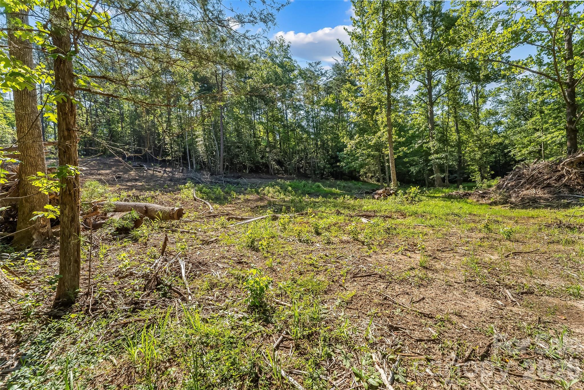 2815 Playmore Beach Road Morganton, NC 28655 - Photo 14 of 23 Gallery Image 14