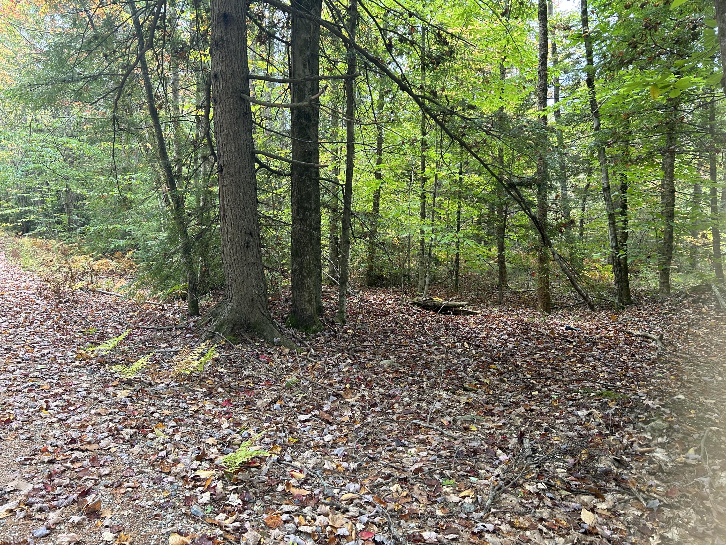 Tbd Flat Ground Road Acton, ME 04001 - Photo 2 of 7 IMG-3792