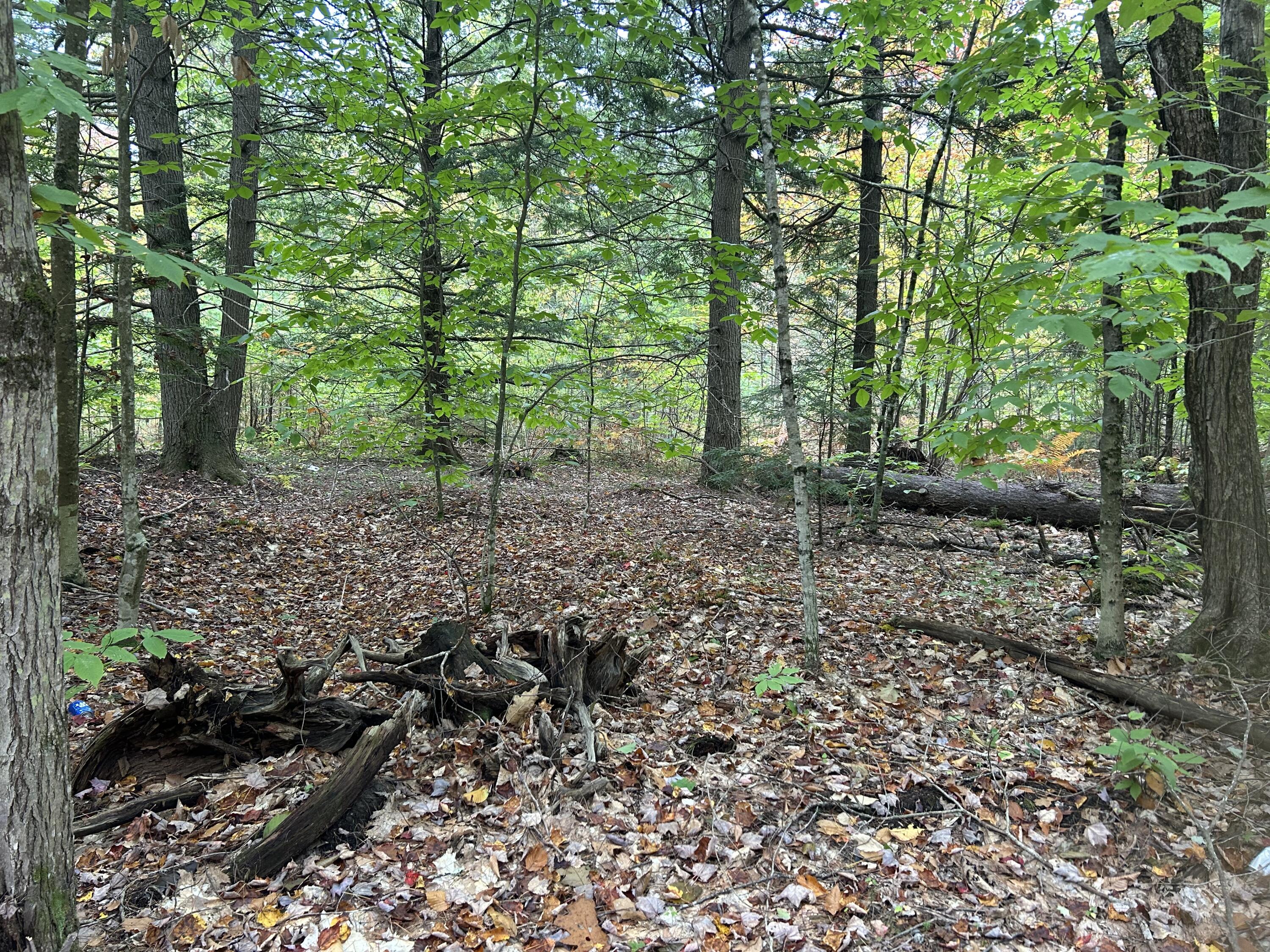 Tbd Flat Ground Road Acton, ME 04001 - Photo 3 of 7 IMG-3791