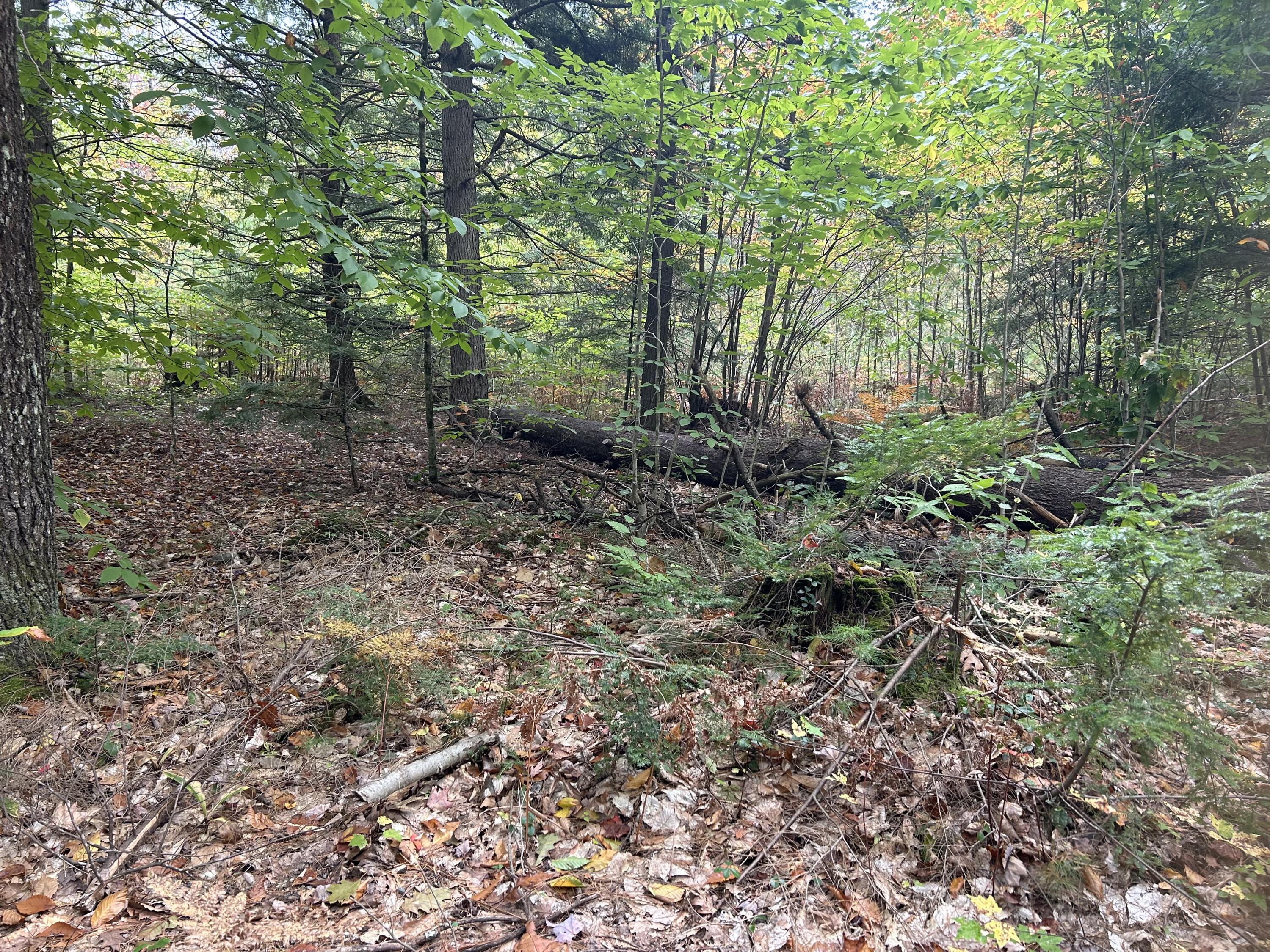 Tbd Flat Ground Road Acton, ME 04001 - Photo 4 of 7 IMG-3789