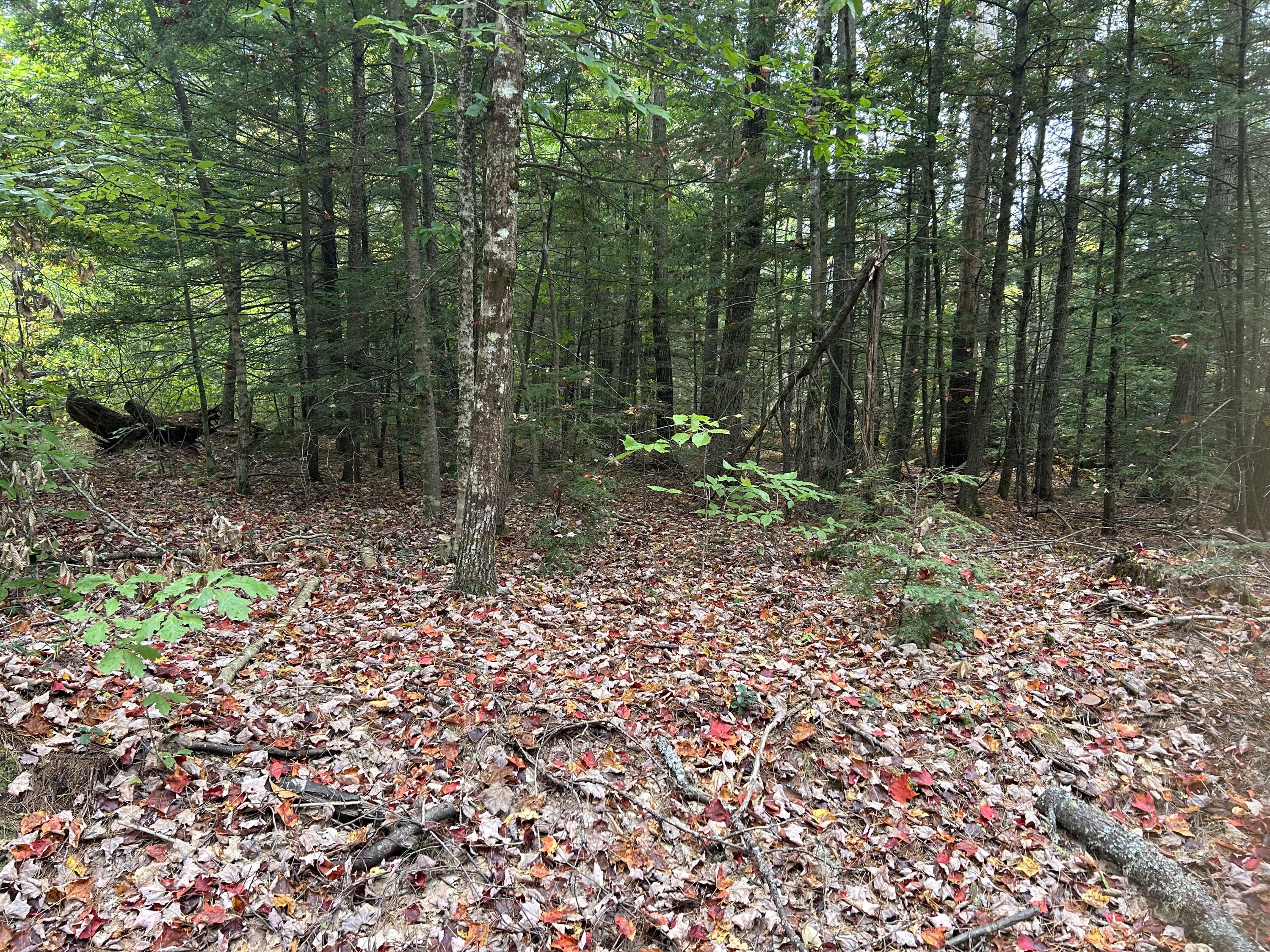 Tbd Flat Ground Road Acton, ME 04001 - Photo 5 of 7 IMG-3788