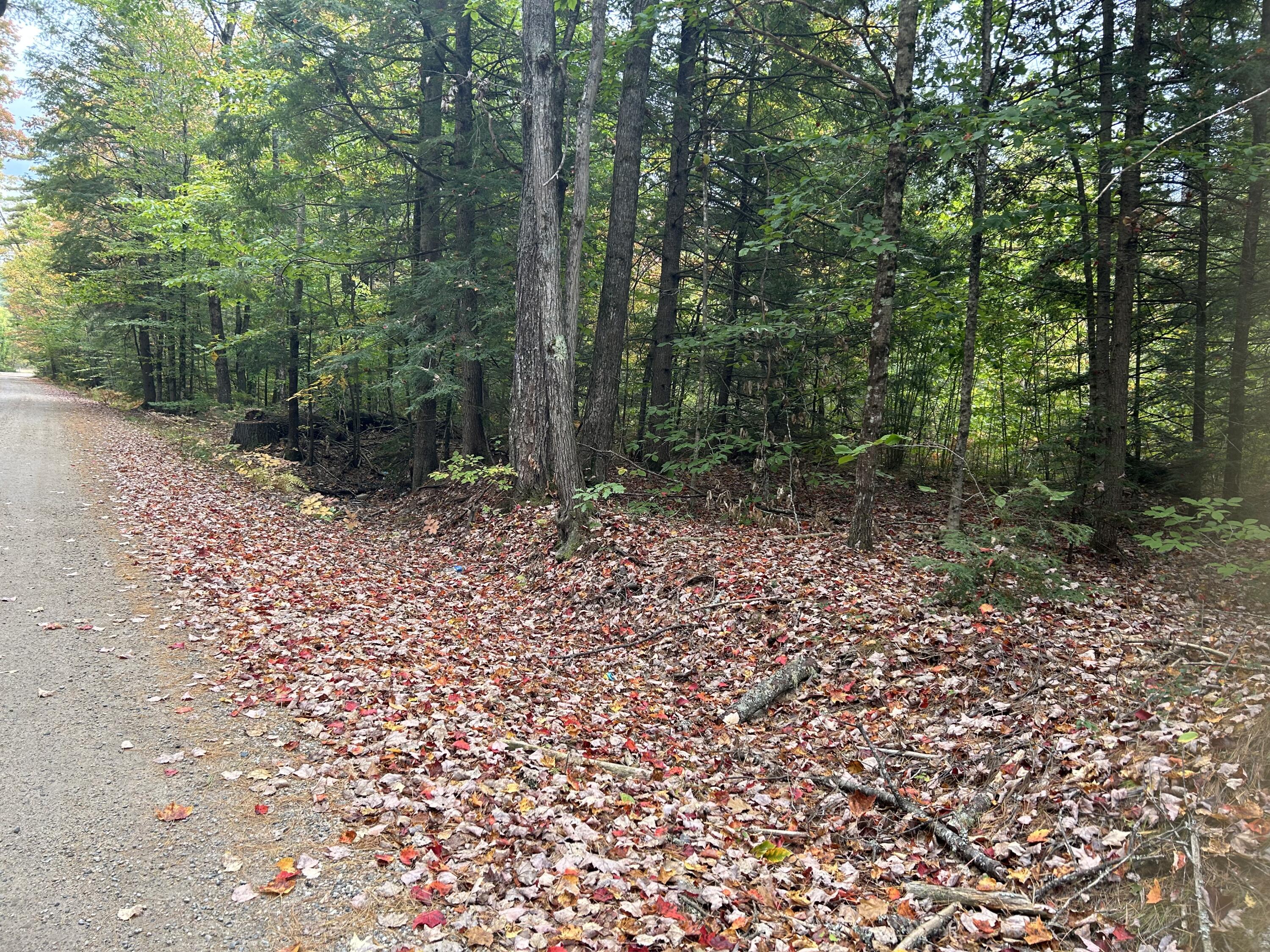 Tbd Flat Ground Road Acton, ME 04001 - Photo 7 of 7 IMG-3786