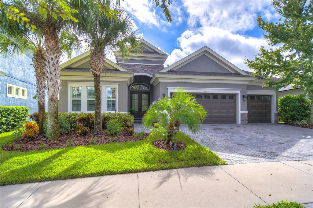 THIS IS A REAL SHOW-STOPPER!