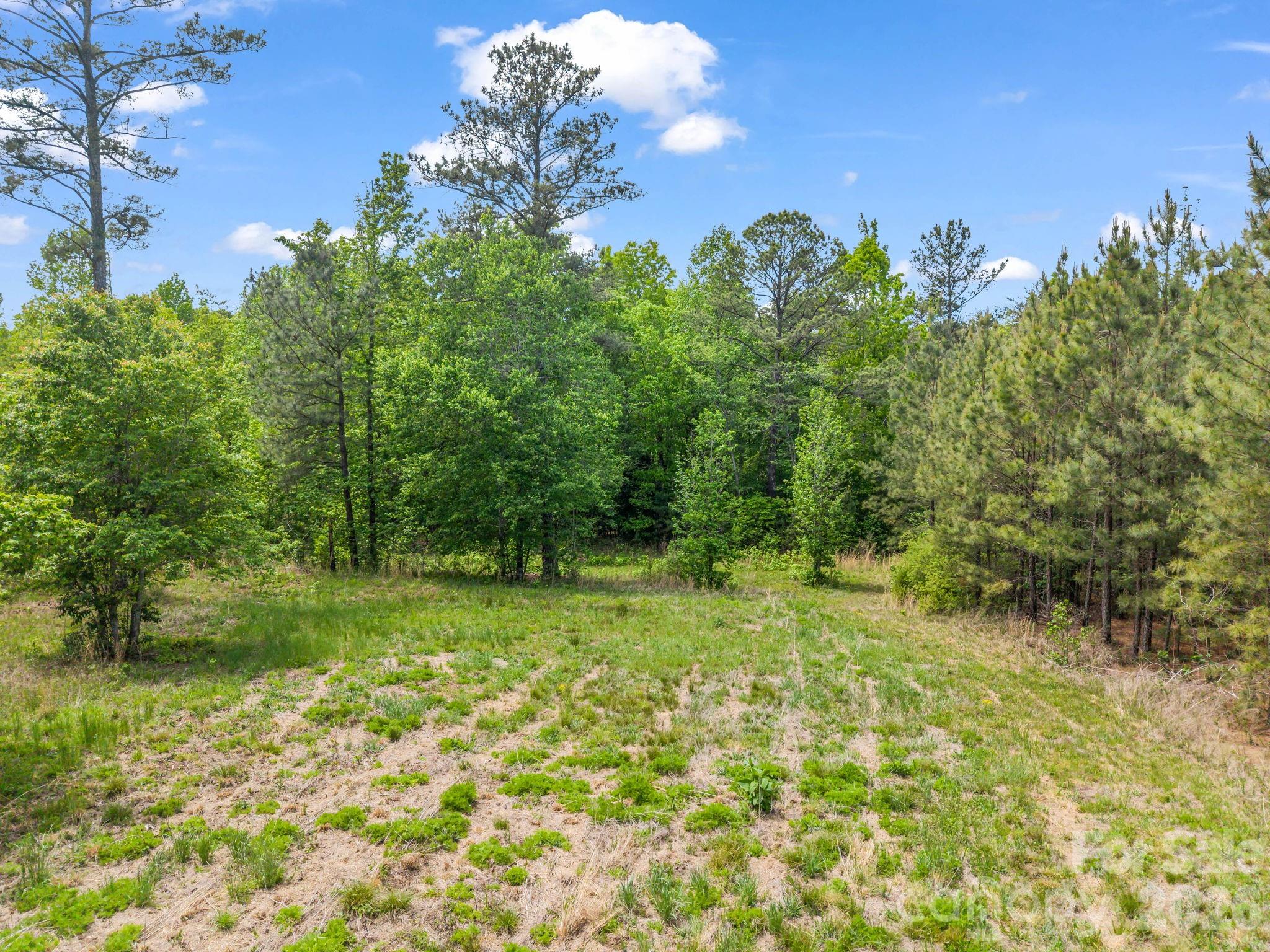 0 Romey Campbell Road Ellenboro, NC 28040 - Photo 18 of 41