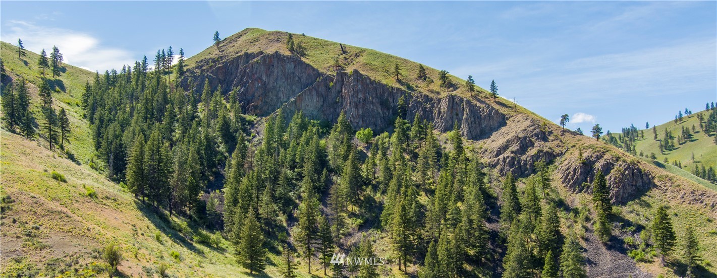 888 Number 1 Canyon Road Wenatchee, WA 98801 - Photo 18 of 20 Gallery Image 18
