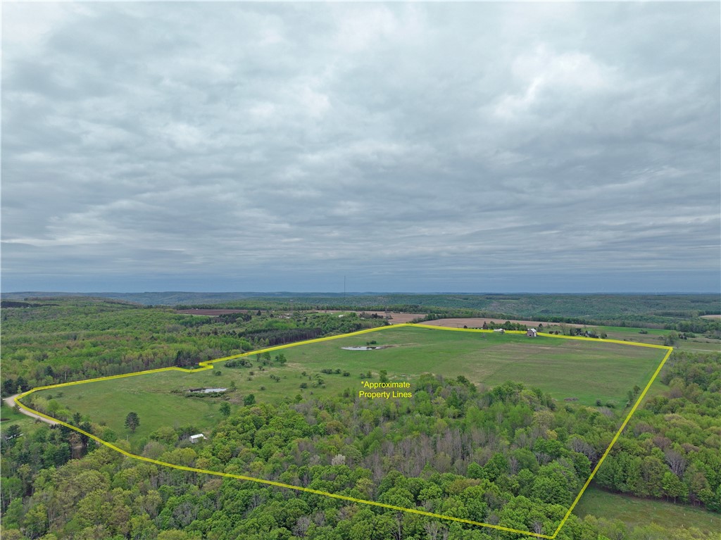 839 Call Hill Road Hartsville, NY 14843 - Photo 19 of 19