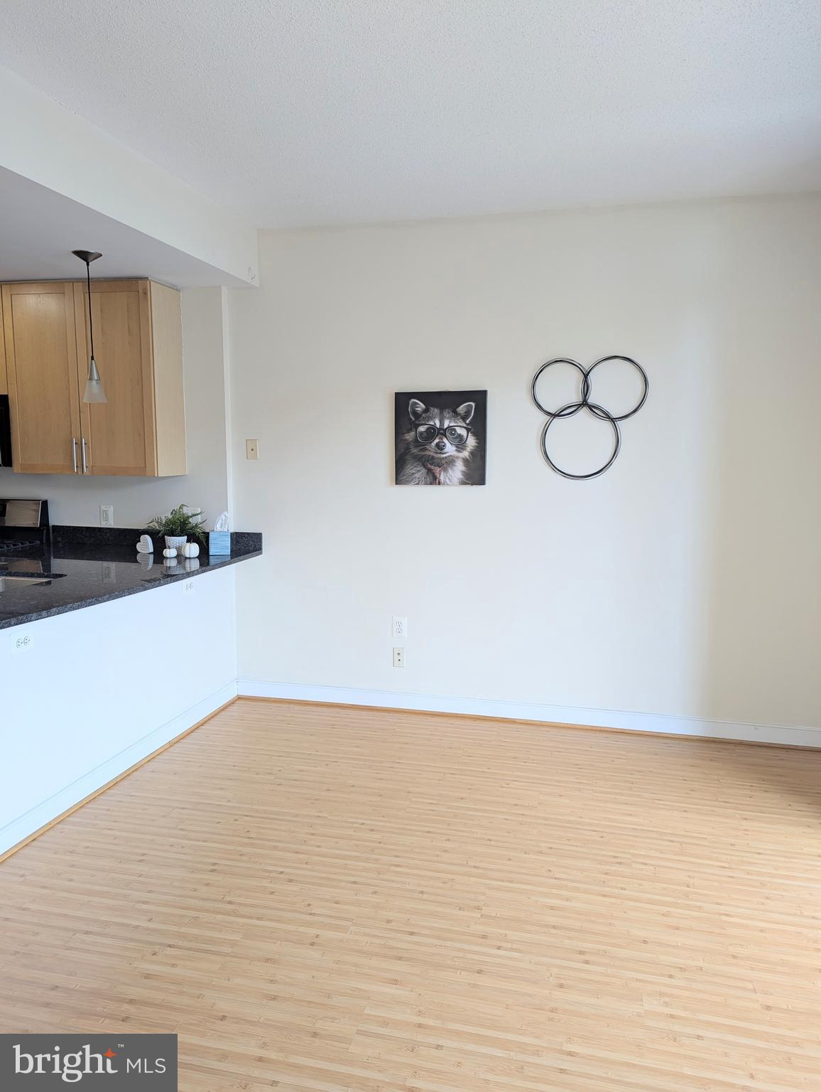 820 North Pollard Street, Unit 810 Arlington, VA 22203 - Photo 8 of 49 a view of an empty room