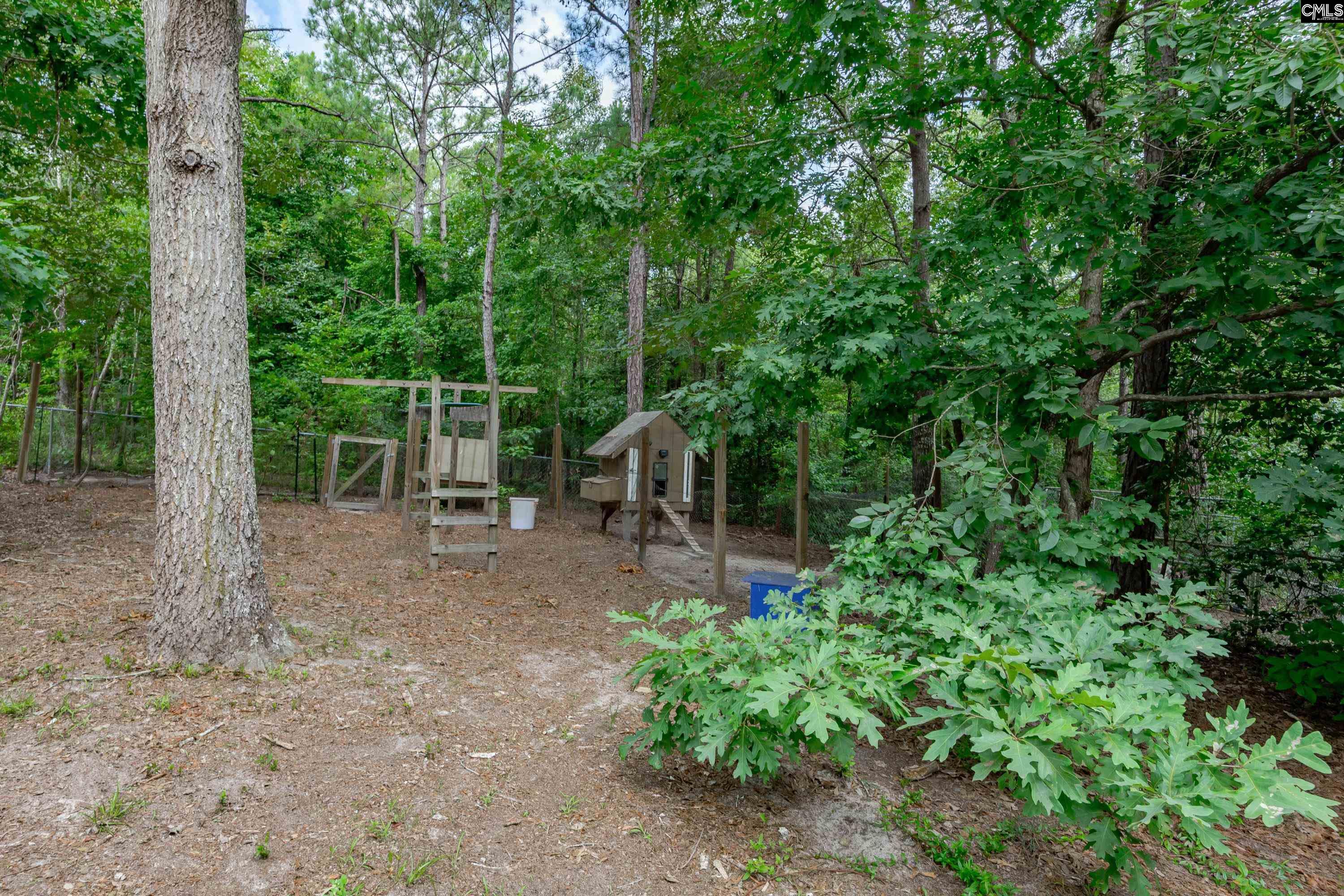 2032 Ridgeway Road Lugoff, SC 29078 - Photo 57 of 57 a view of a backyard
